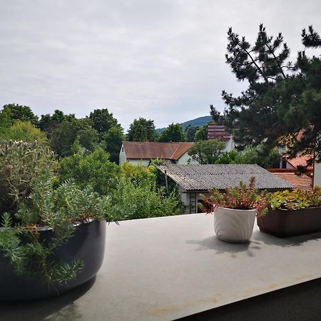 Spacy Apartment Next To The Center Of Graz With Terrasse Eksteriør billede